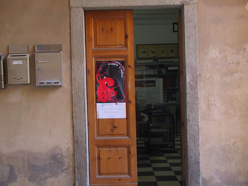 Clicca qui per tornare all'indice delle foto